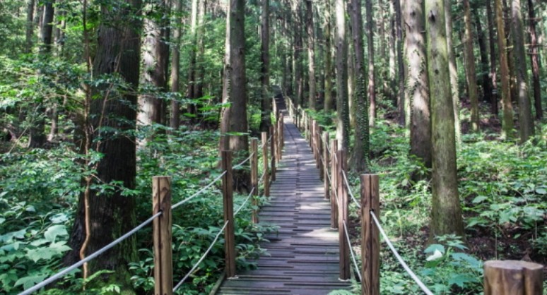 제주도여행 추천 서귀포시 여행코스 - 감귤박물관, 물영아리오름, 따라비오름, 어멍아방잔치마을, 혼인지