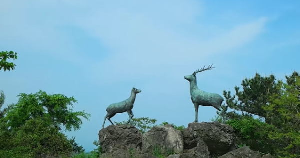 봄에 떠나기 좋은 여행지