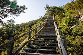 등산을 통한 당뇨병 개선