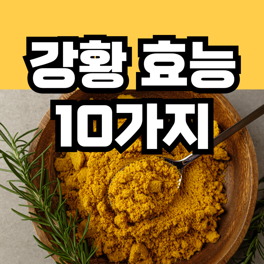 강황 효능