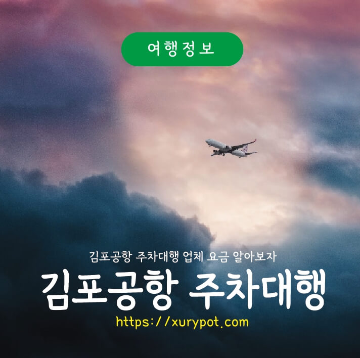 하늘을 나는 비행기