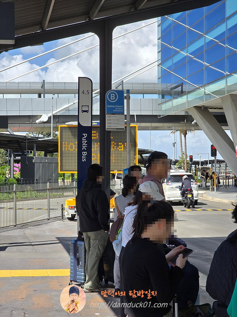 시드니 공항 1 터미널 버스 정류장