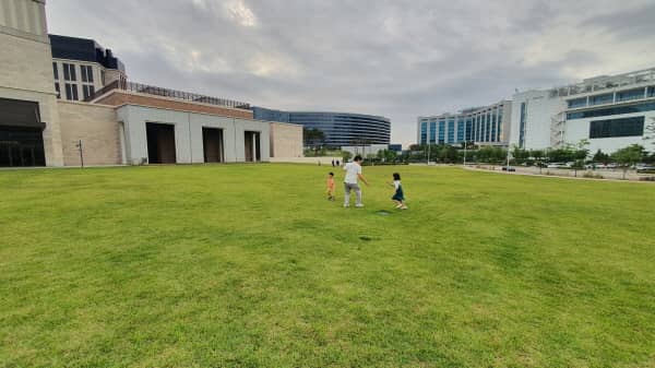 파라다이스 잔디 광장