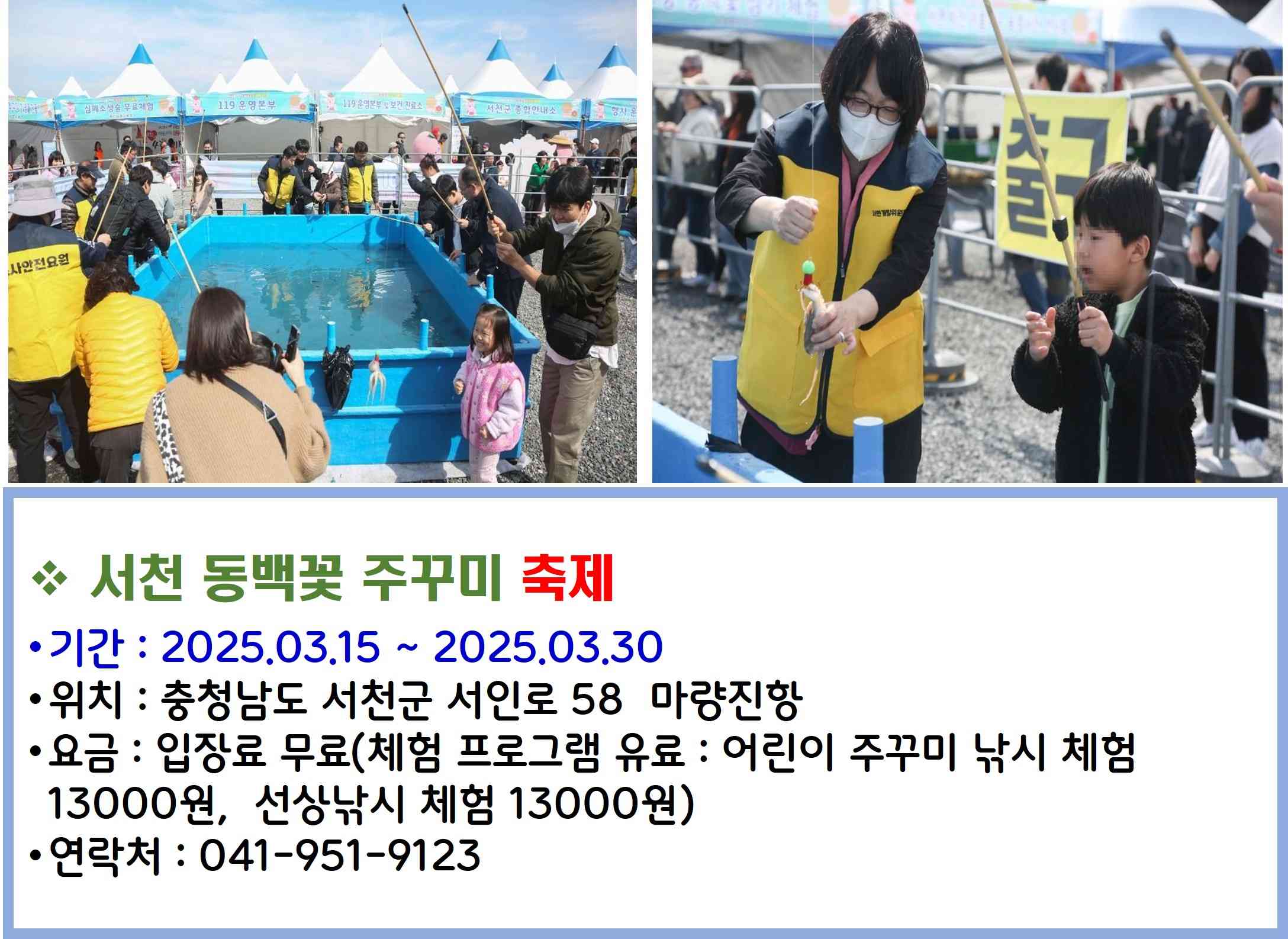 서천 동백꽃 주꾸미 축제