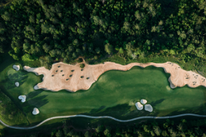 더 셰브론 챔피언십