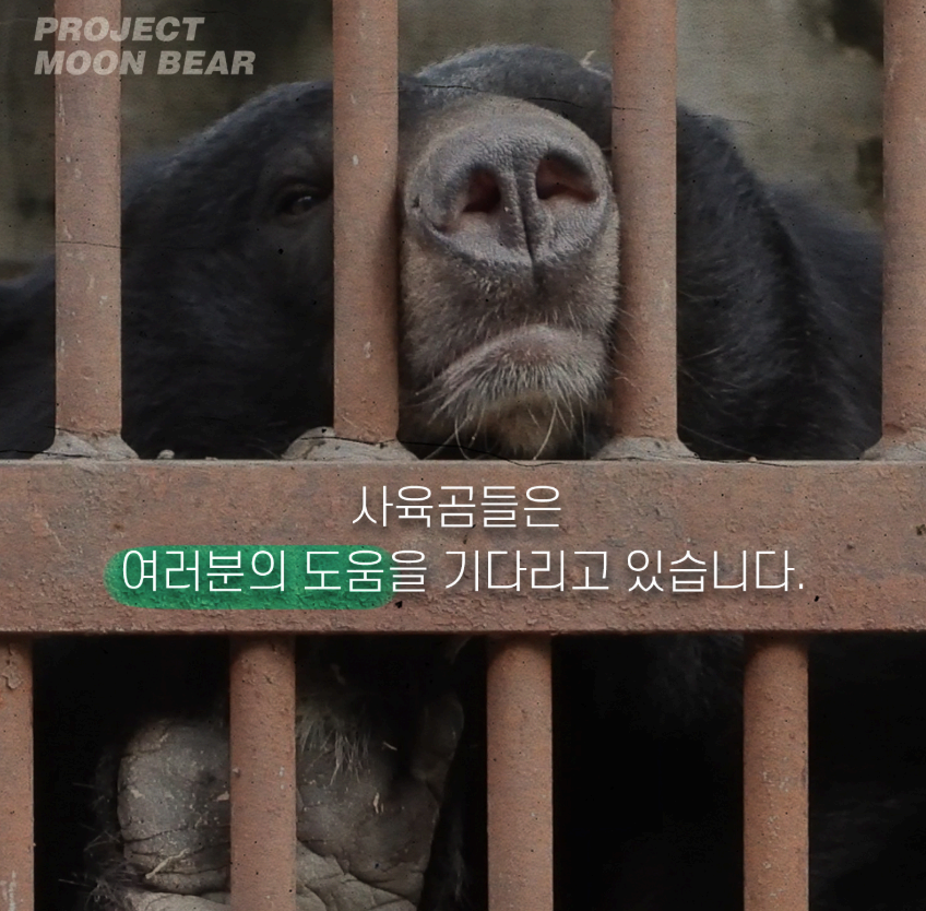 법은 바뀌었지만, 실행력 있는 시스템은 여전히 부재합니다