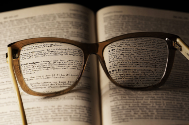 시력 보호 효능이 높은 루테인