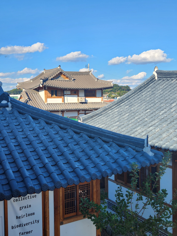 곡물집_테라스_02