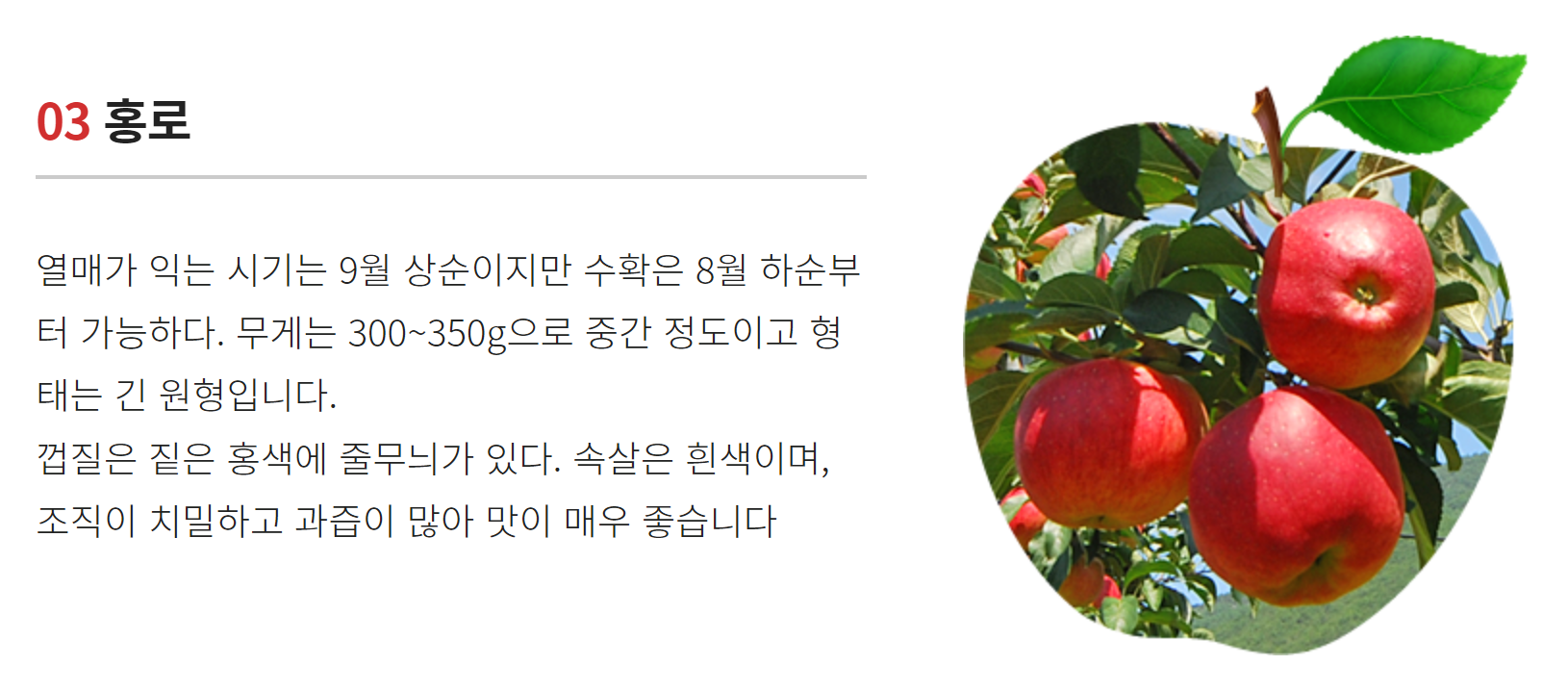 밀양-얼음골-사과축제