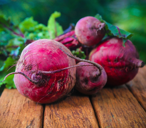 비트 효능 12가지