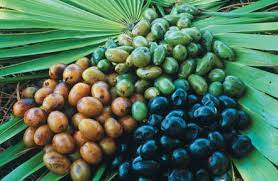 트루포뮬러 비아노스 효능 후기 (3개월 복용)