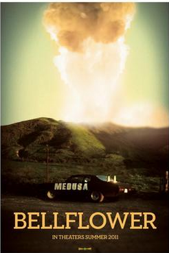 Bellflower관련 사진