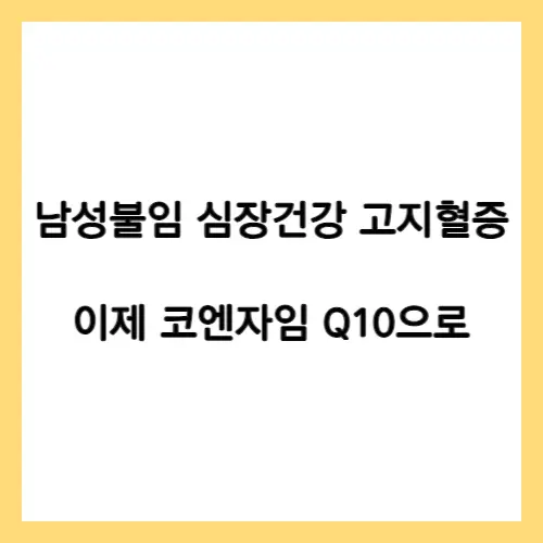 코엔자임 Q10 효능
