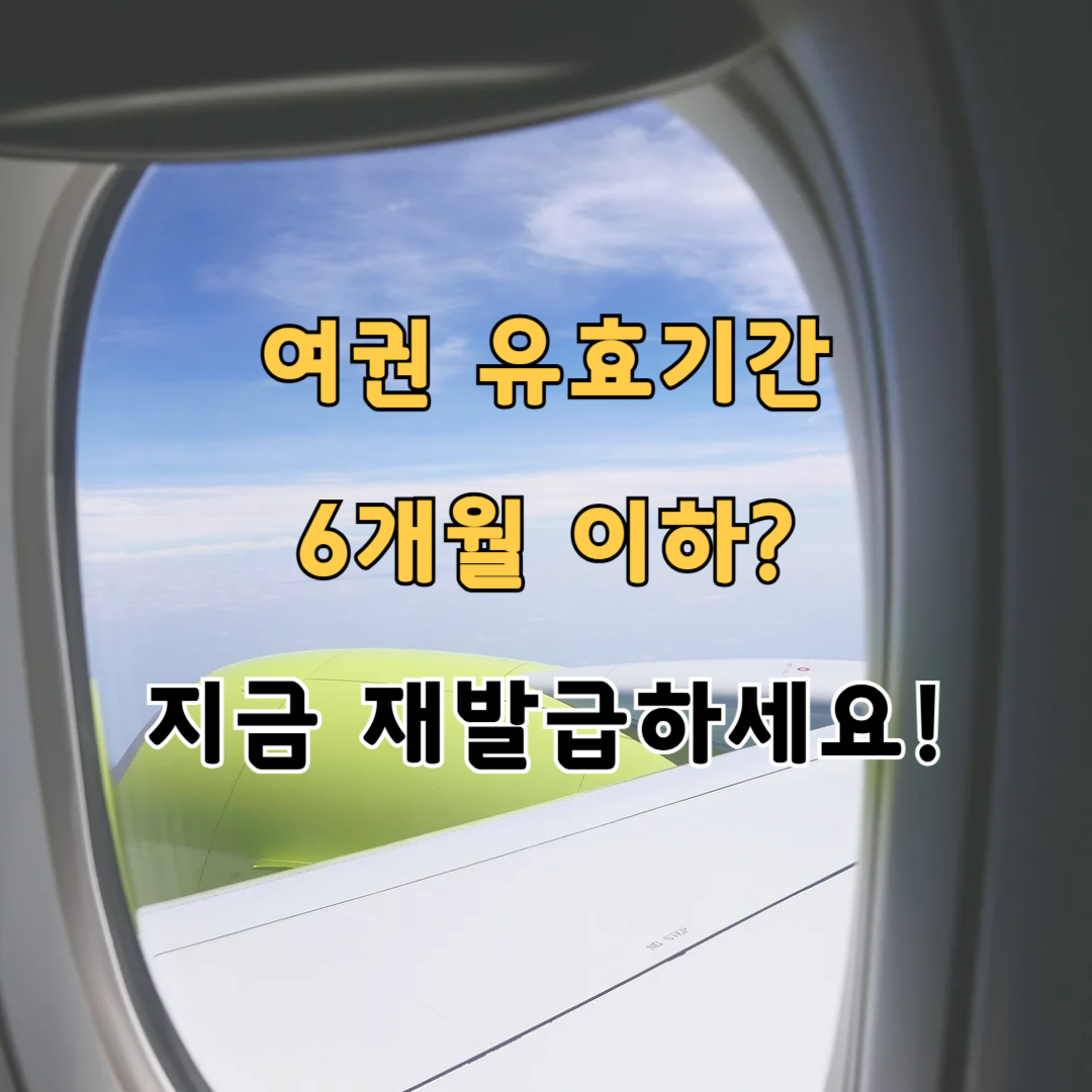 여권 재발급