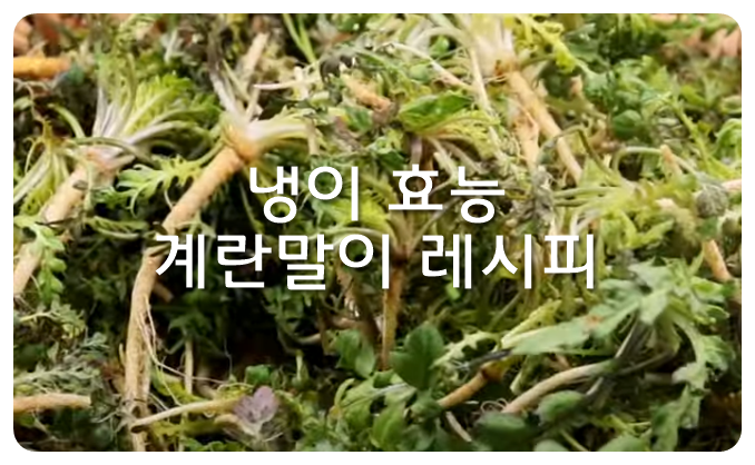 냉이 효능, 계란말이 레시피