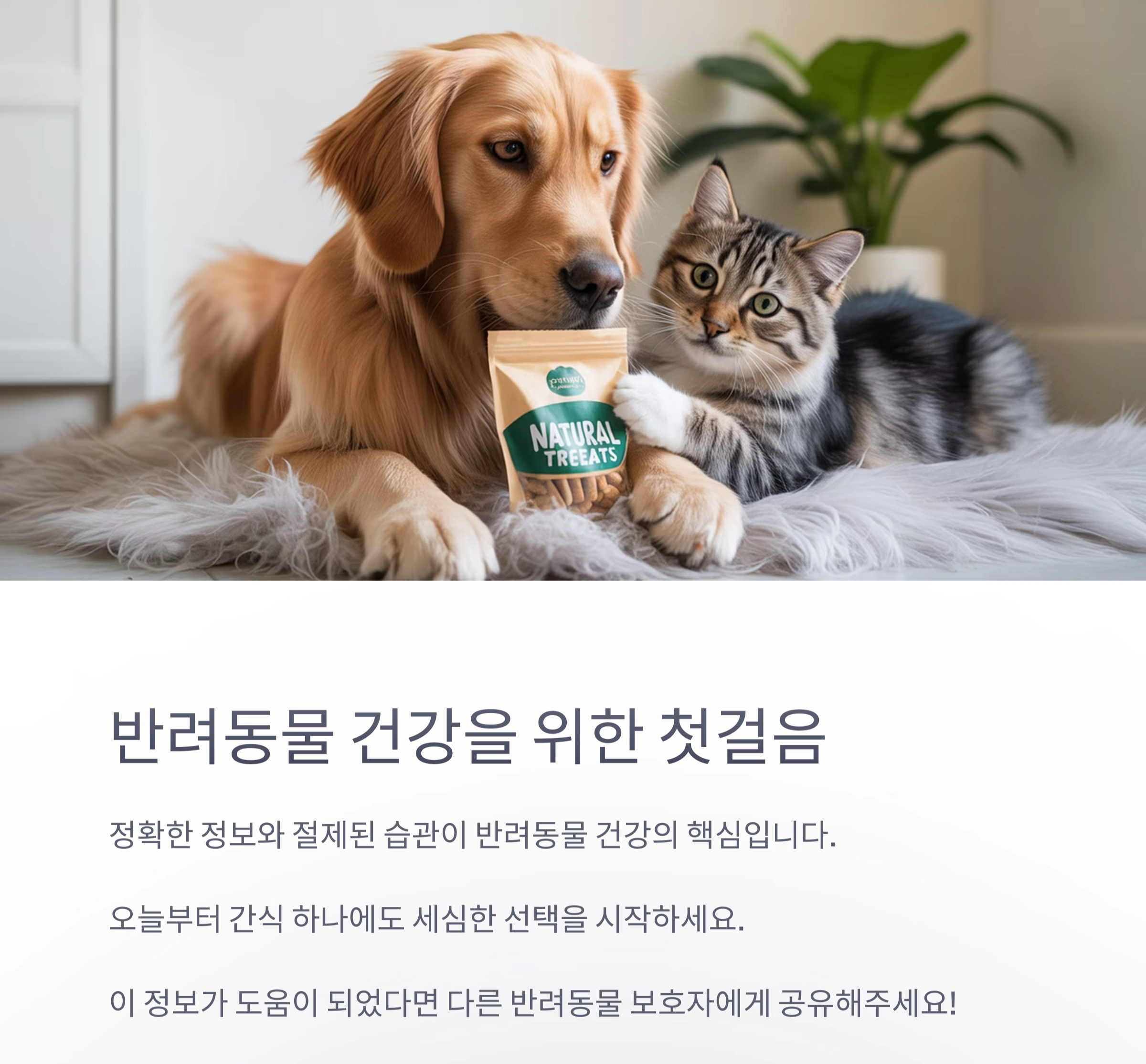 반려동물 건강 지키는 첫걸음, 간식 원재료 확인은 필수