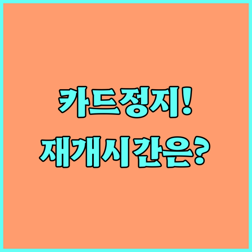 후불교통 요금 미납 시 카드 이용 정..