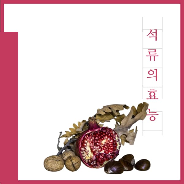 석류의-효능과-부작용