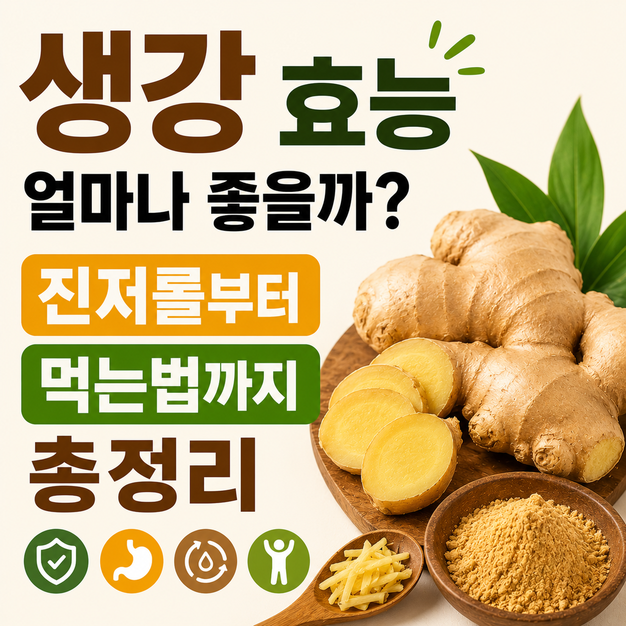 생강 효능