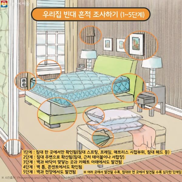 빈대 흔적 조사하기