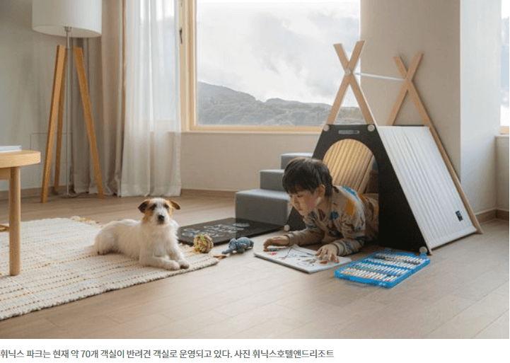 반려동물 강아지 동반 캠핑 야영지 숙소 호텔