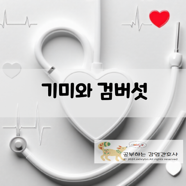 기미인가요? 검버섯인가요? 헷갈리는 피부잡티 확실하게 구분하는 법(차이점)