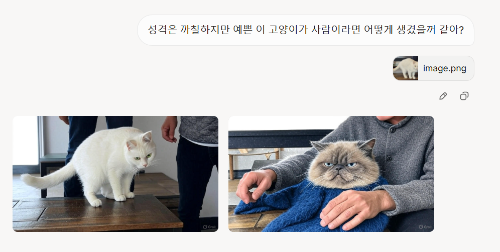 반려동물이 사람으로