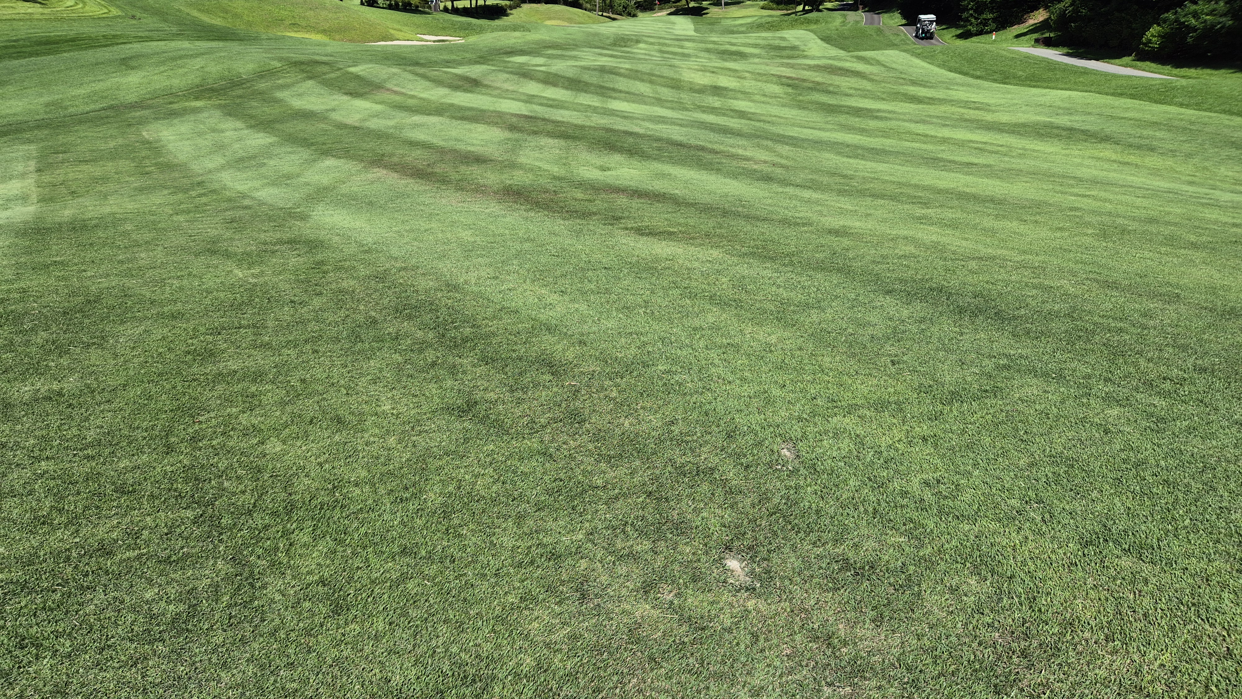 SG 아름다운cc 라운드 후기