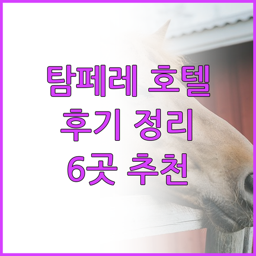탐페레 호텔 예약 전 필독 6곳 후기