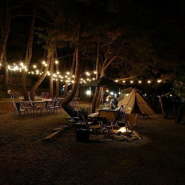 춘천 황금박쥐캠핑장 소개