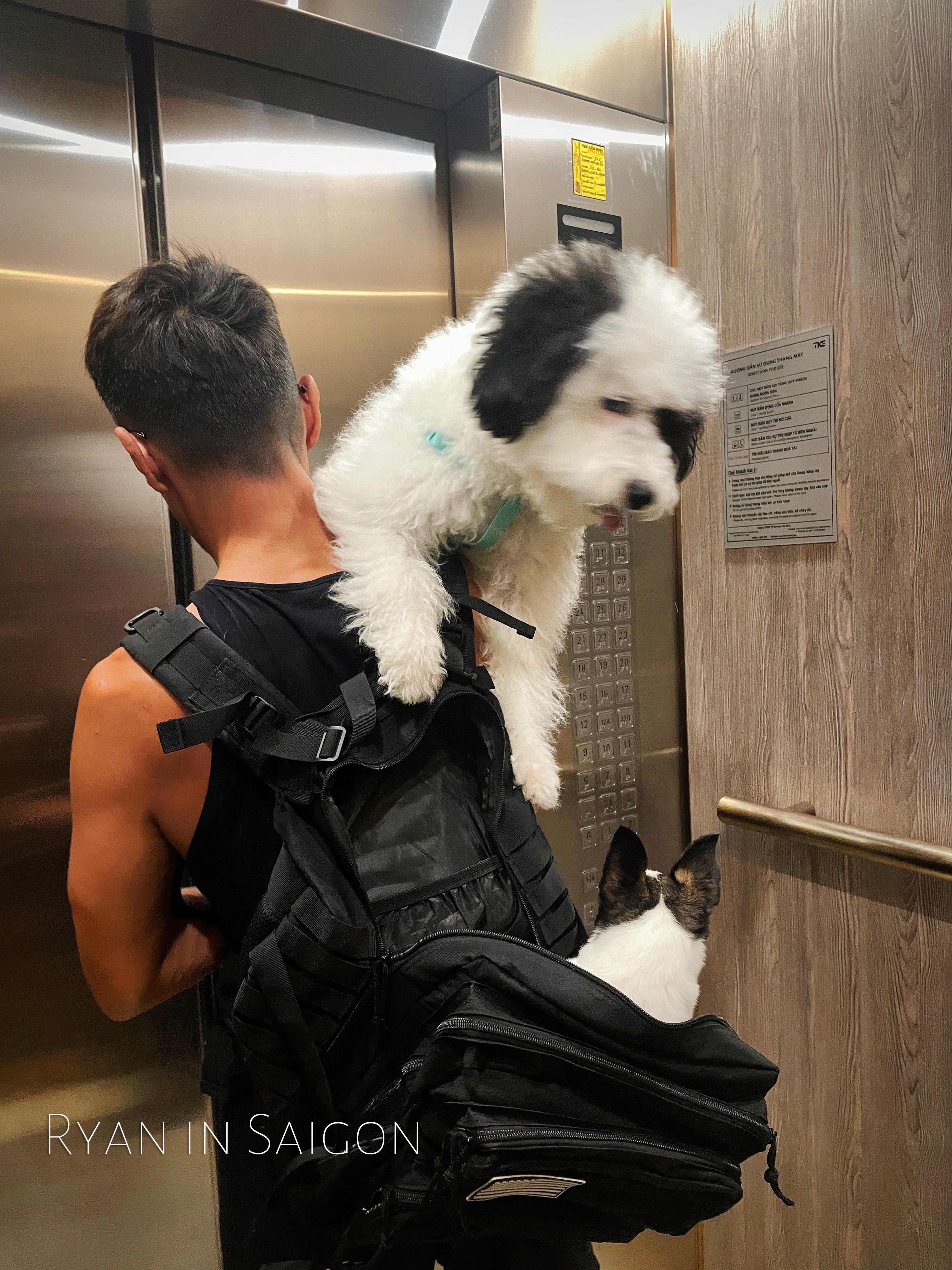 롸이언이 켄과 티모를 업고 엘레비이터 안에서