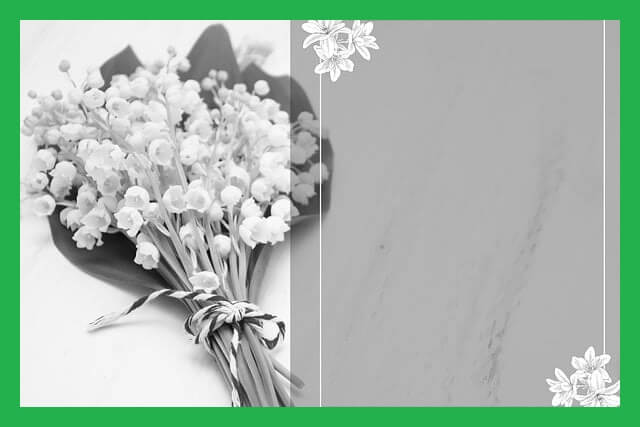 장례식-꽃-일러스트