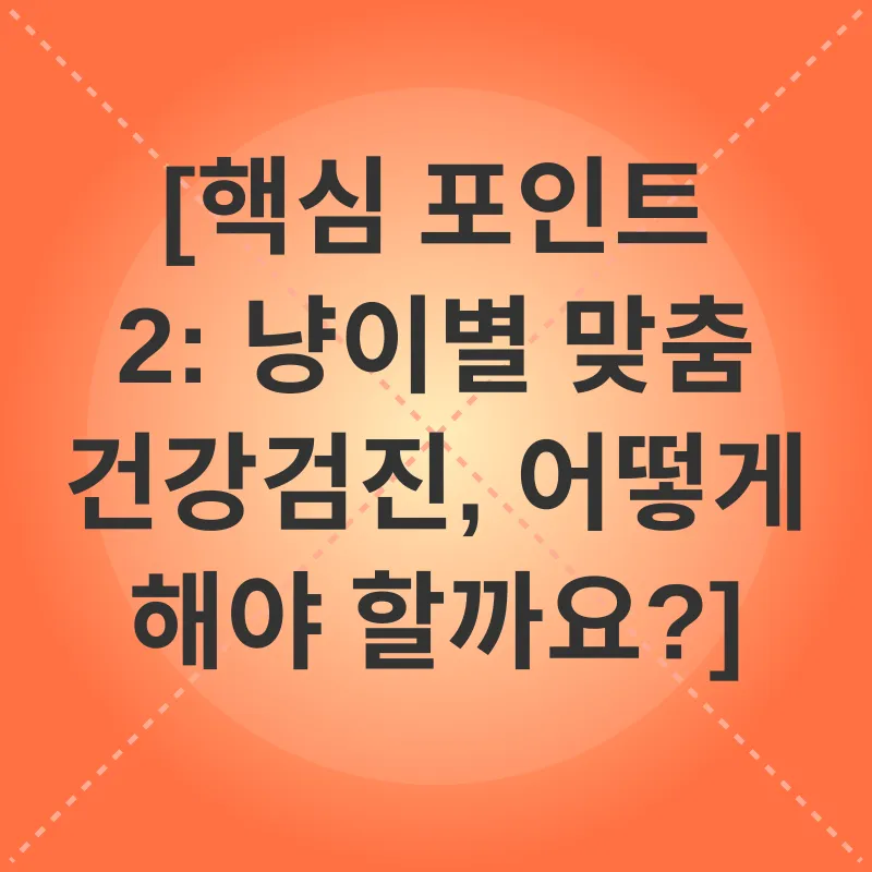 고양이 건강검진_2