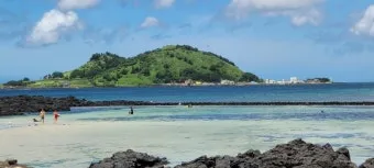 제주 협재 맛집 추천 카페와 브런치 맛집 포함_23