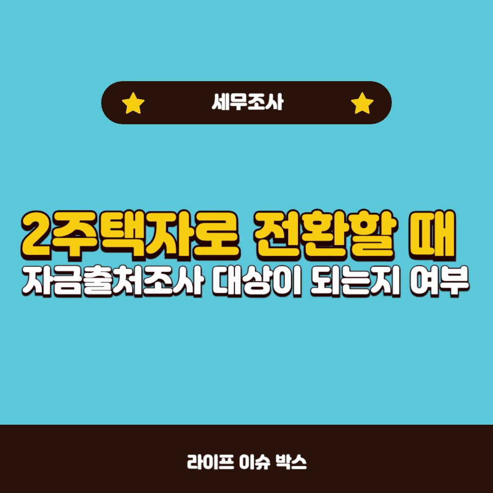 2주택자 자금출처조사