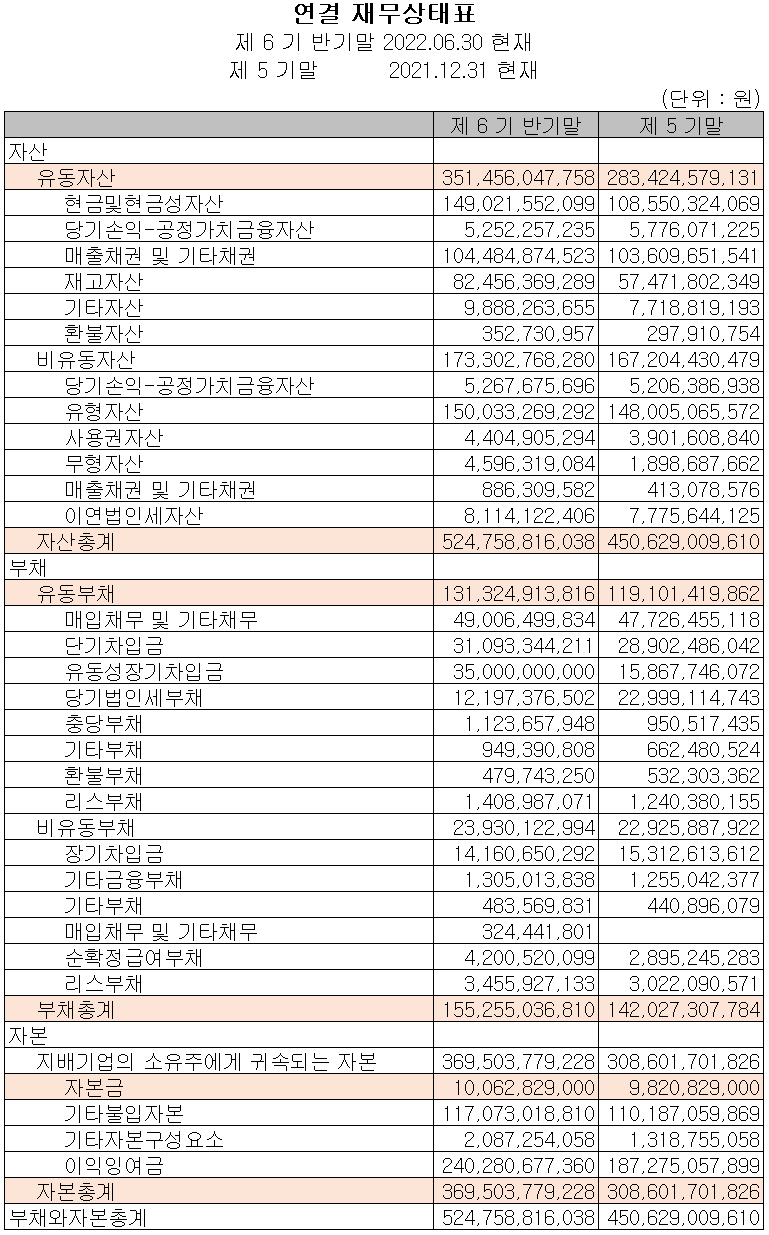 이녹스첨단소재 - 재무상태표