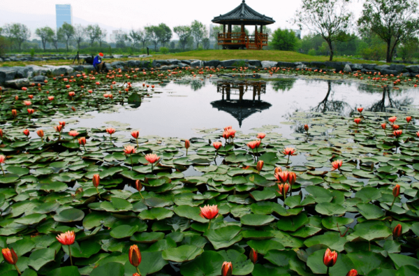 부산 도모헌(옛 부산시장 관사)