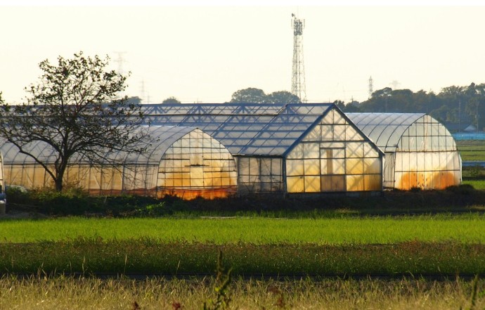 비닐하우스 설치방법 - 설치업체, 신고 및 비용, 파이프, 부속자재, 패드