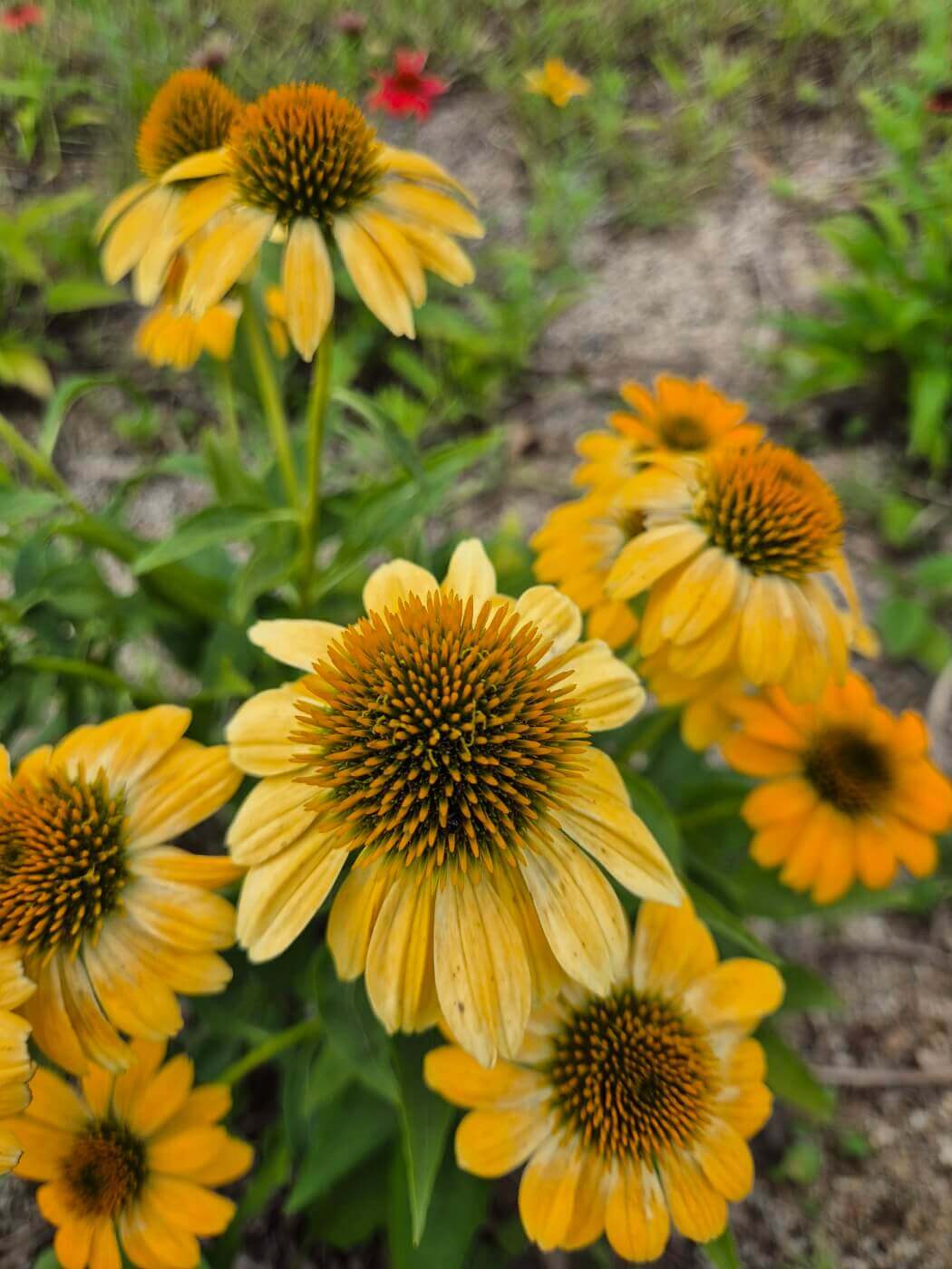 끈기 명언 인내 도전 꾸준함 