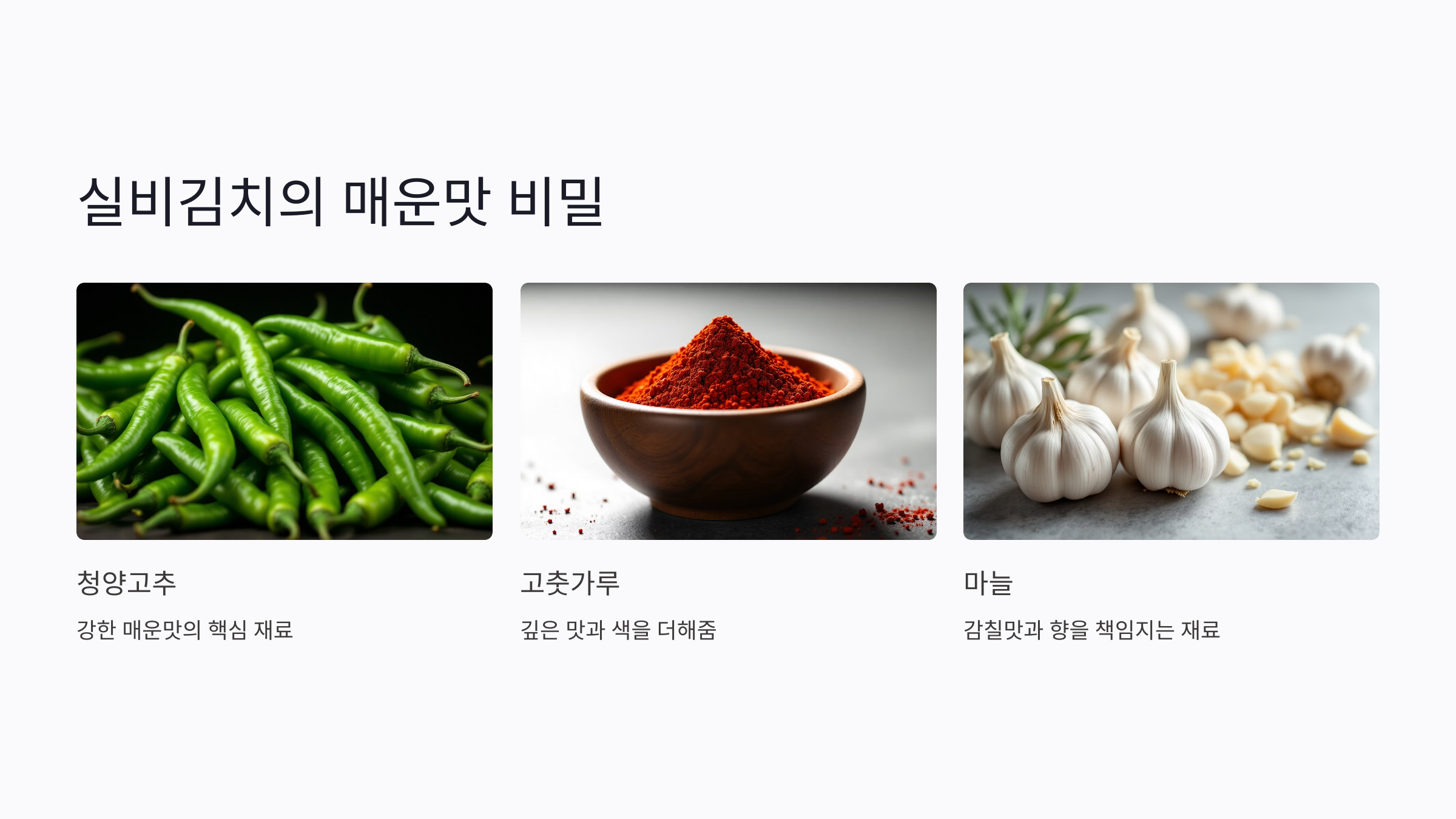 실비김치 뜻