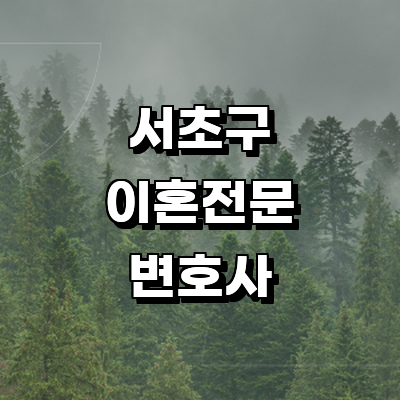 서울 서초구 이혼 변호사