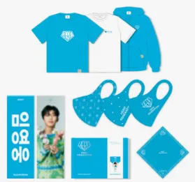 임영웅 갤러리 콘서트