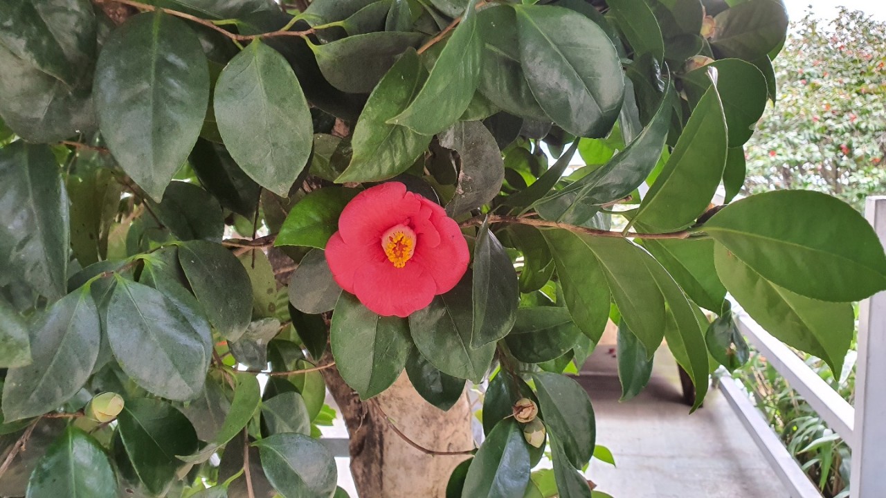 한국기행 거제 지심도 민박 펜션