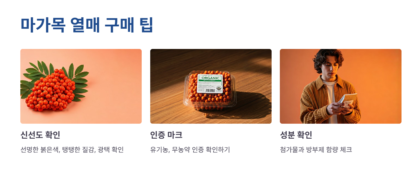 마가목 열매 가격 및 구매 팁