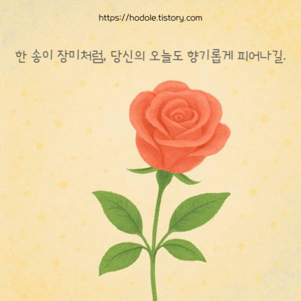 행복한 5월 일러스트