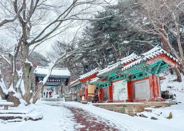 충청권 겨울에 걷기 좋은 숲길 & 트레킹 추천 BEST 7