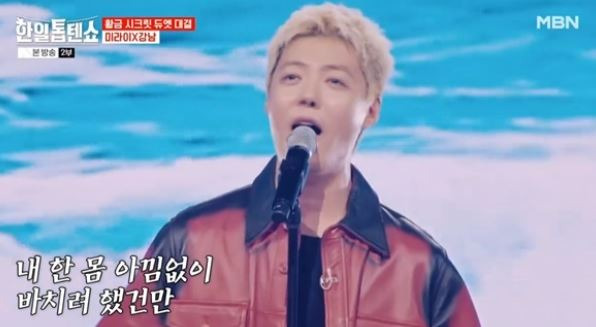 강남 가수 활동