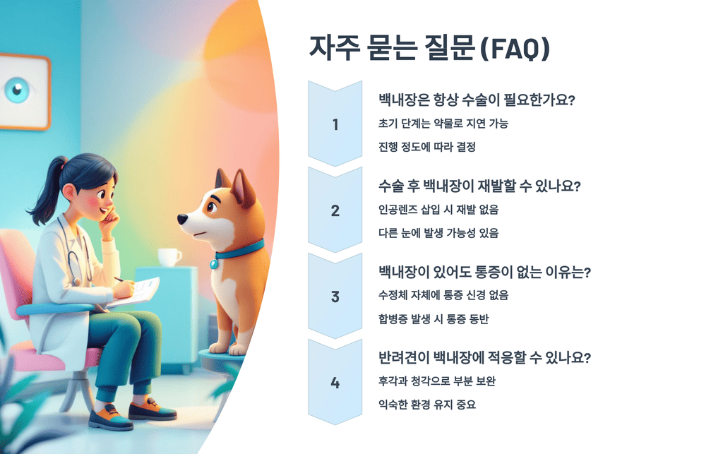 자주 묻는 질문 (FAQ)