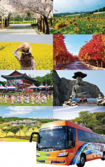 경산시티투어 완벽 가이드: 코스, 운영시간, 예약방법 총정리