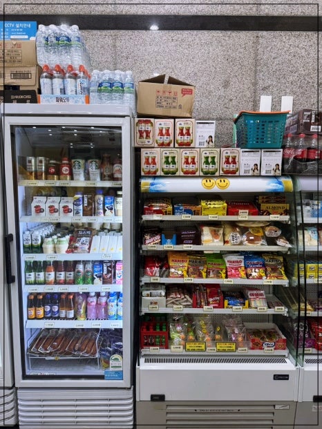 성북구-자유수영-성북종합레포츠-20